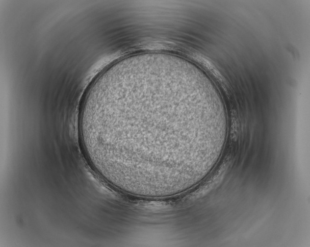 X0000112410986200909110946