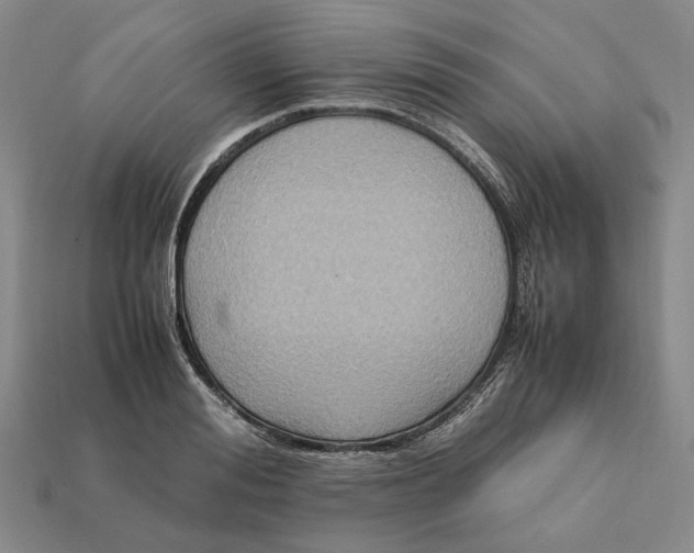 X0000112410988200909110946