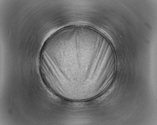 X0000112410989200909110946
