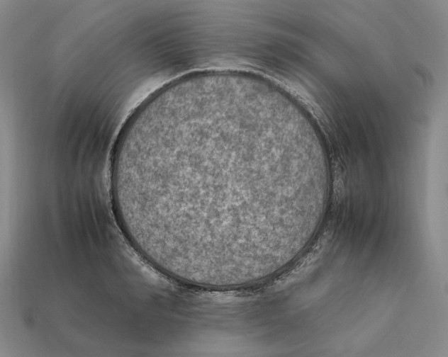 X0000112410990200909110946