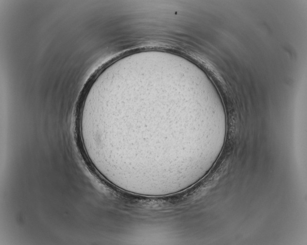X0000112410991200909110946