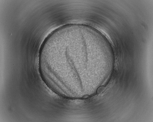 X0000112410992200909110946