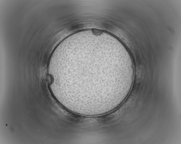 X0000112410993200909110946