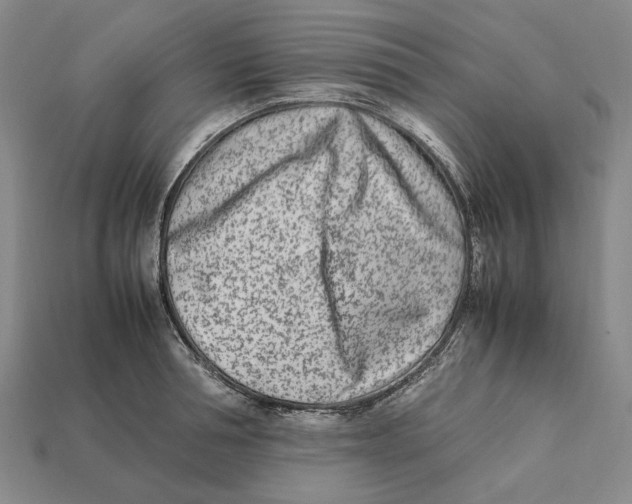 X0000112410994200909110946