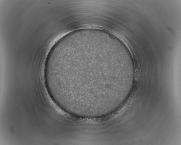 X0000112410995200909110946