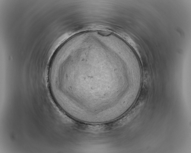 X0000112410997200909110946