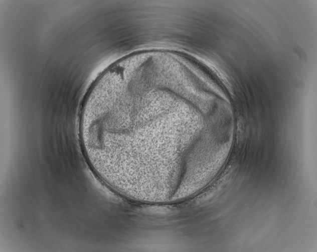 X0000112410998200909110946