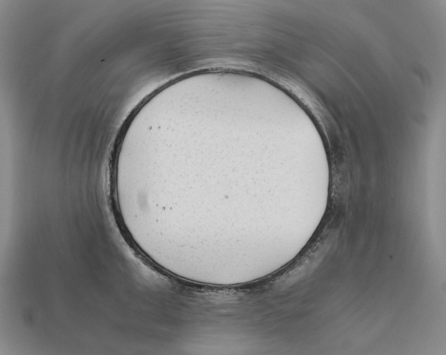 X0000112410999200909110946