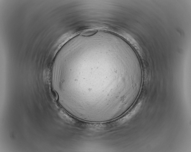 X0000112411001200909110946