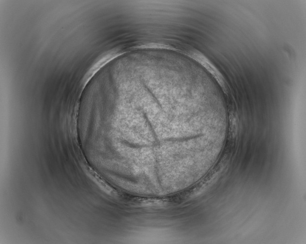 X0000112411002200909110946