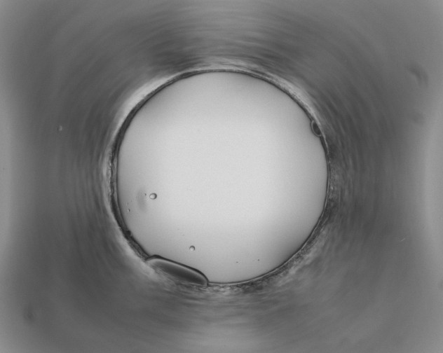 X0000112411003200909110946