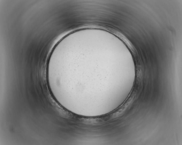 X0000112411004200909110946