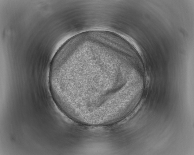 X0000112411006200909110946