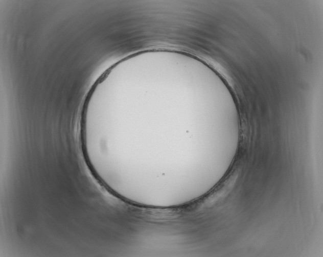 X0000112411007200909110946