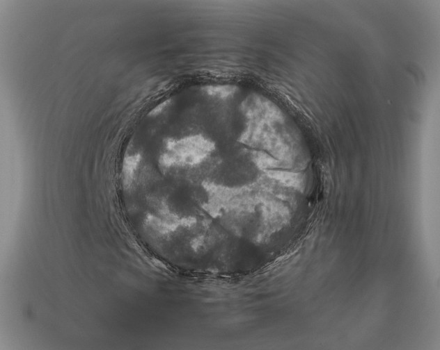 X0000112411009200909110945