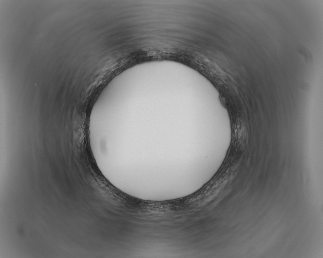 X0000112411012200909110945