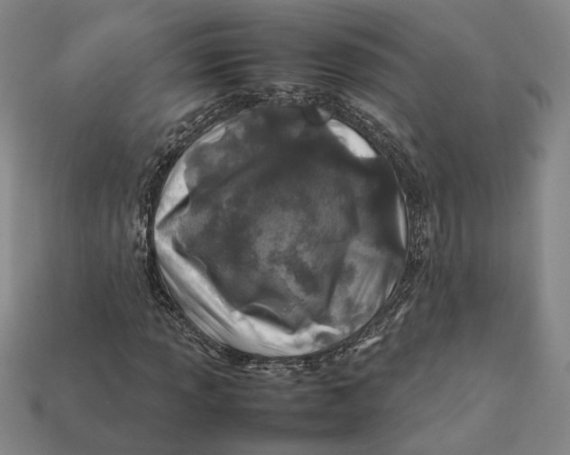 X0000112411013200909110945