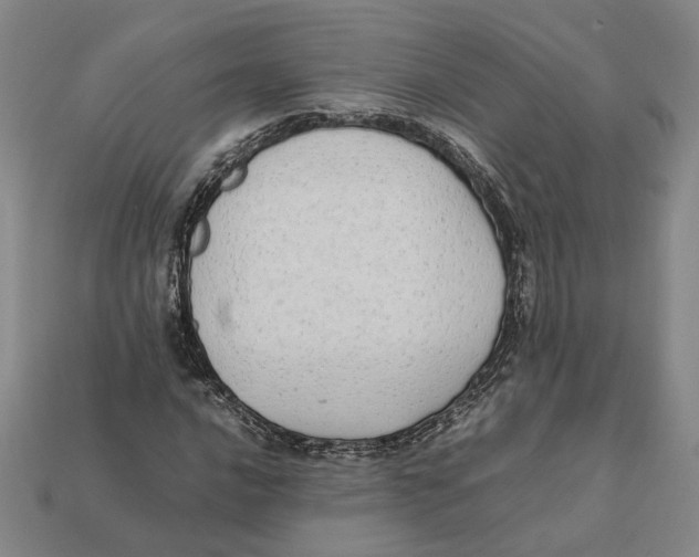 X0000112411016200909110945