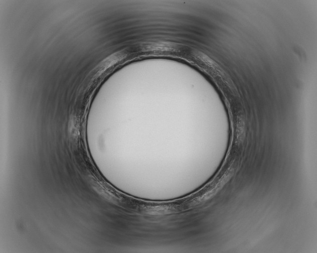 X0000112411017200909110945