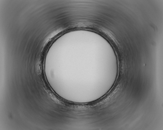 X0000112411018200909110945