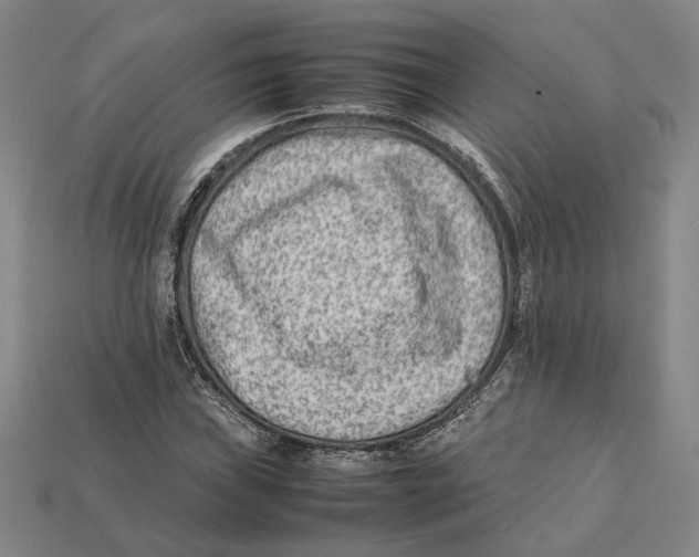 X0000112411019200909110945