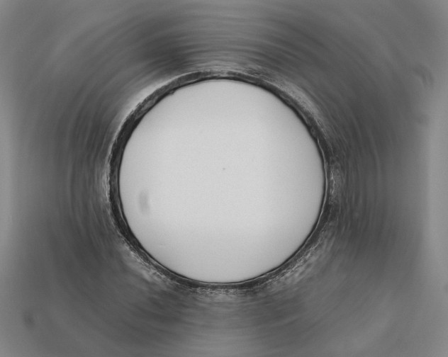 X0000112411020200909110945