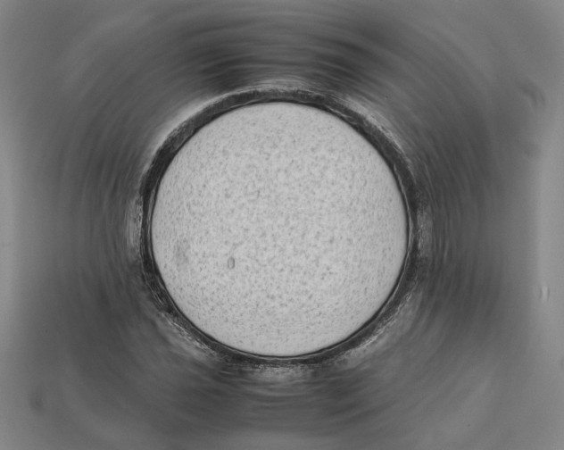 X0000112411021200909110945