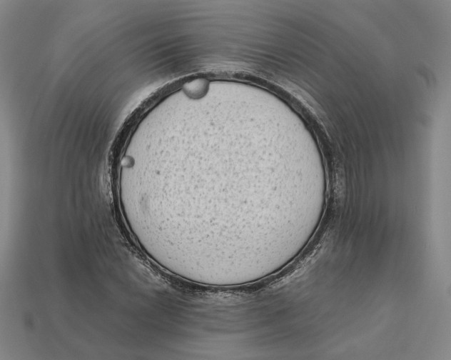 X0000112411022200909110945