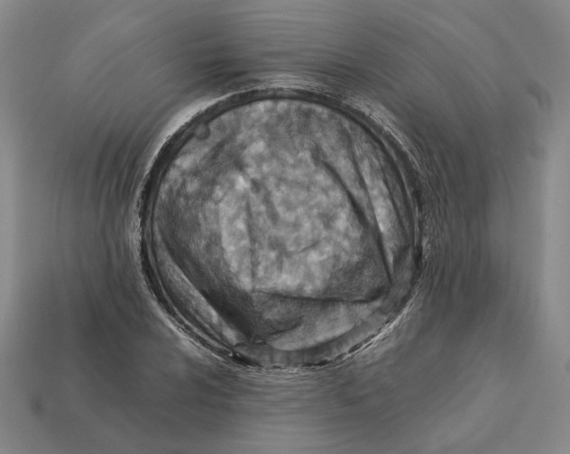 X0000112411024200909110945