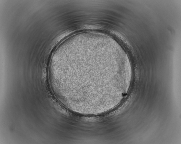 X0000112411025200909110945