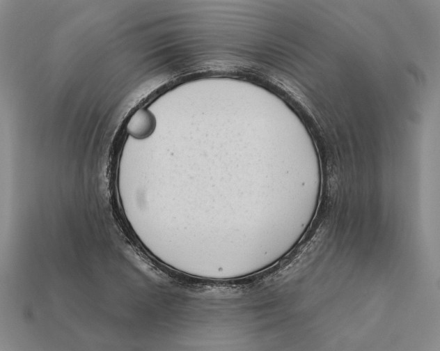 X0000112411026200909110945