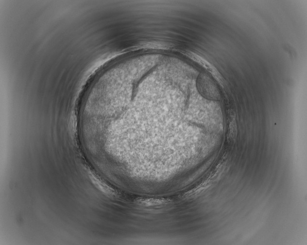 X0000112411027200909110945