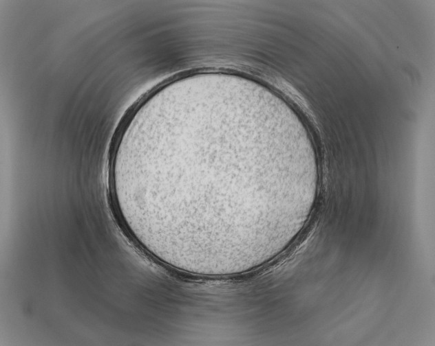 X0000112411028200909110946