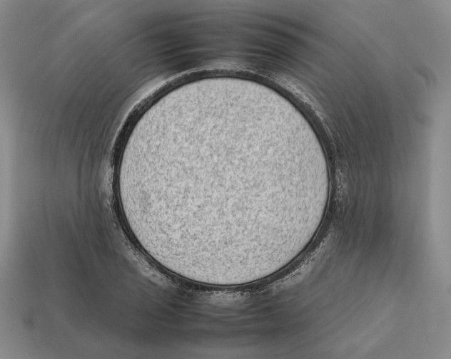 X0000112411029200909110946