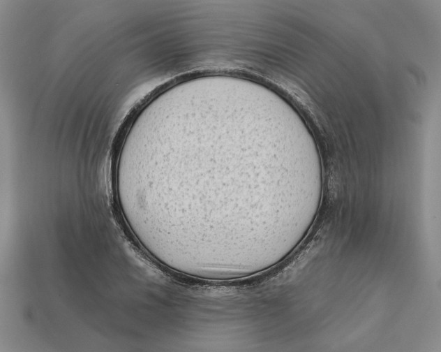 X0000112411030200909110946