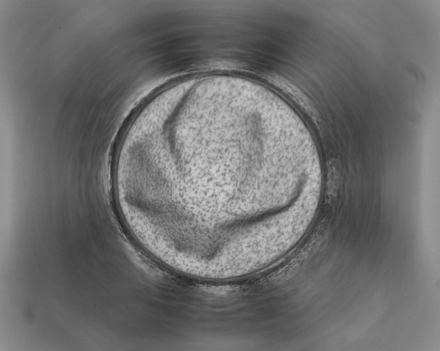 X0000112411031200909110946