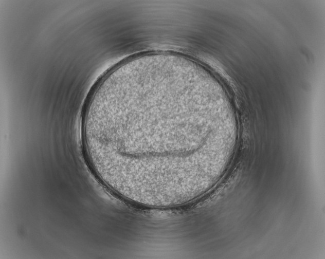 X0000112411032200909110946
