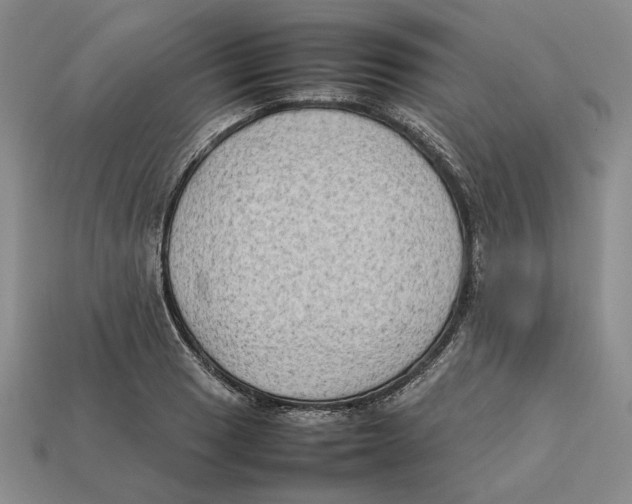 X0000112411033200909110946