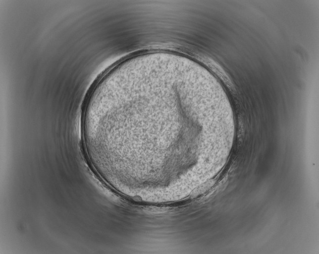 X0000112411036200909110946