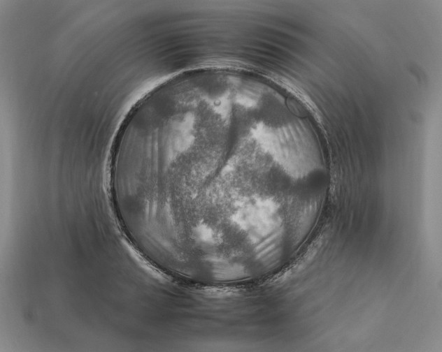 X0000112411037200909110946