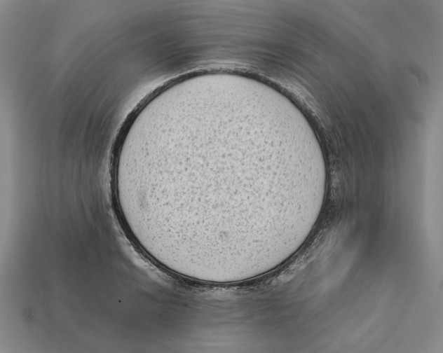 X0000112411038200909110946