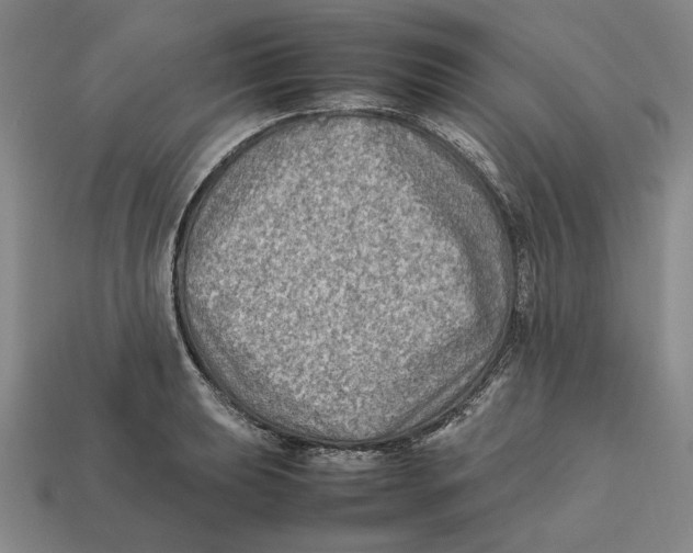 X0000112411039200909110946