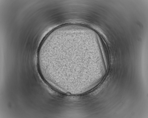 X0000112411040200909110946