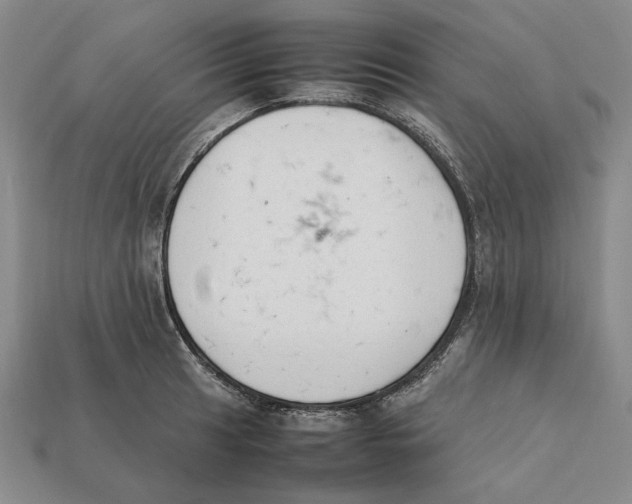 X0000112411041200909110946
