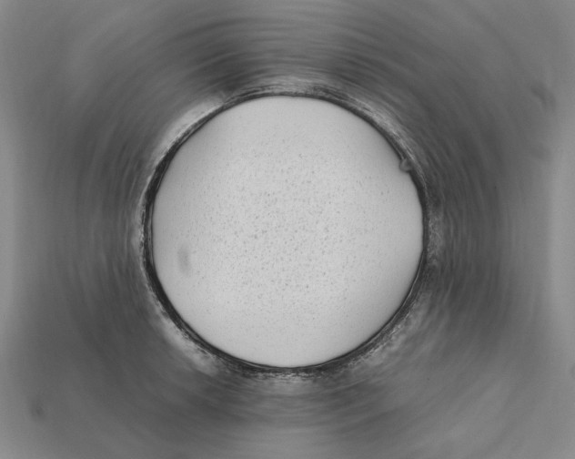 X0000112411042200909110946