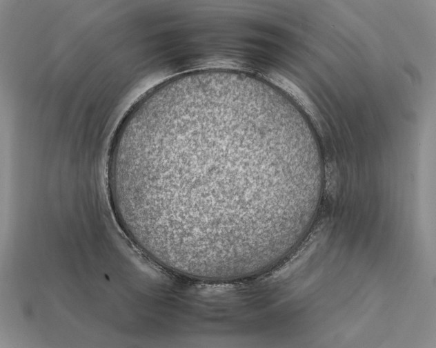 X0000112411043200909110946