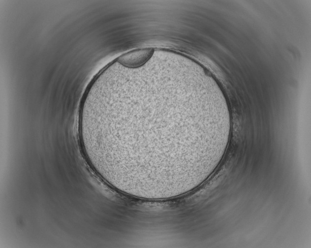 X0000112411044200909110946
