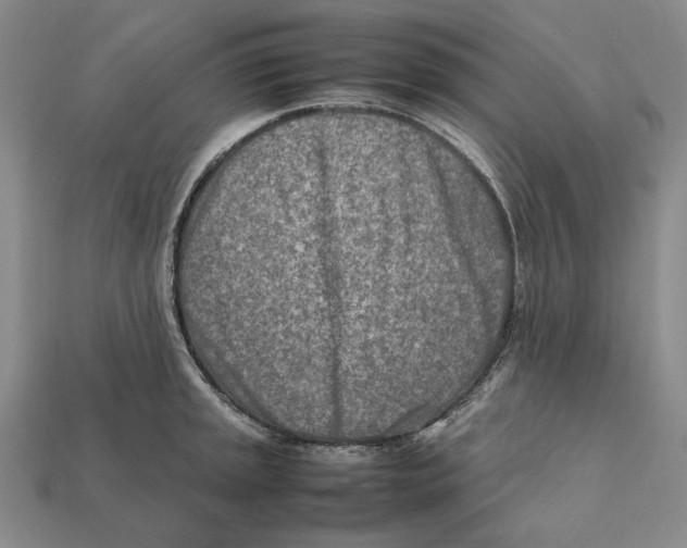X0000112411045200909110946