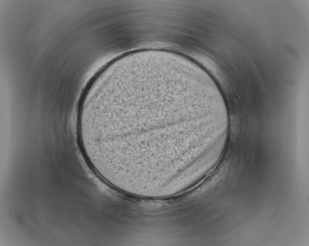 X0000112411046200909110946