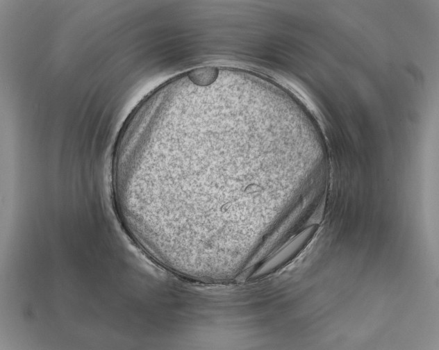 X0000112411048200909110946